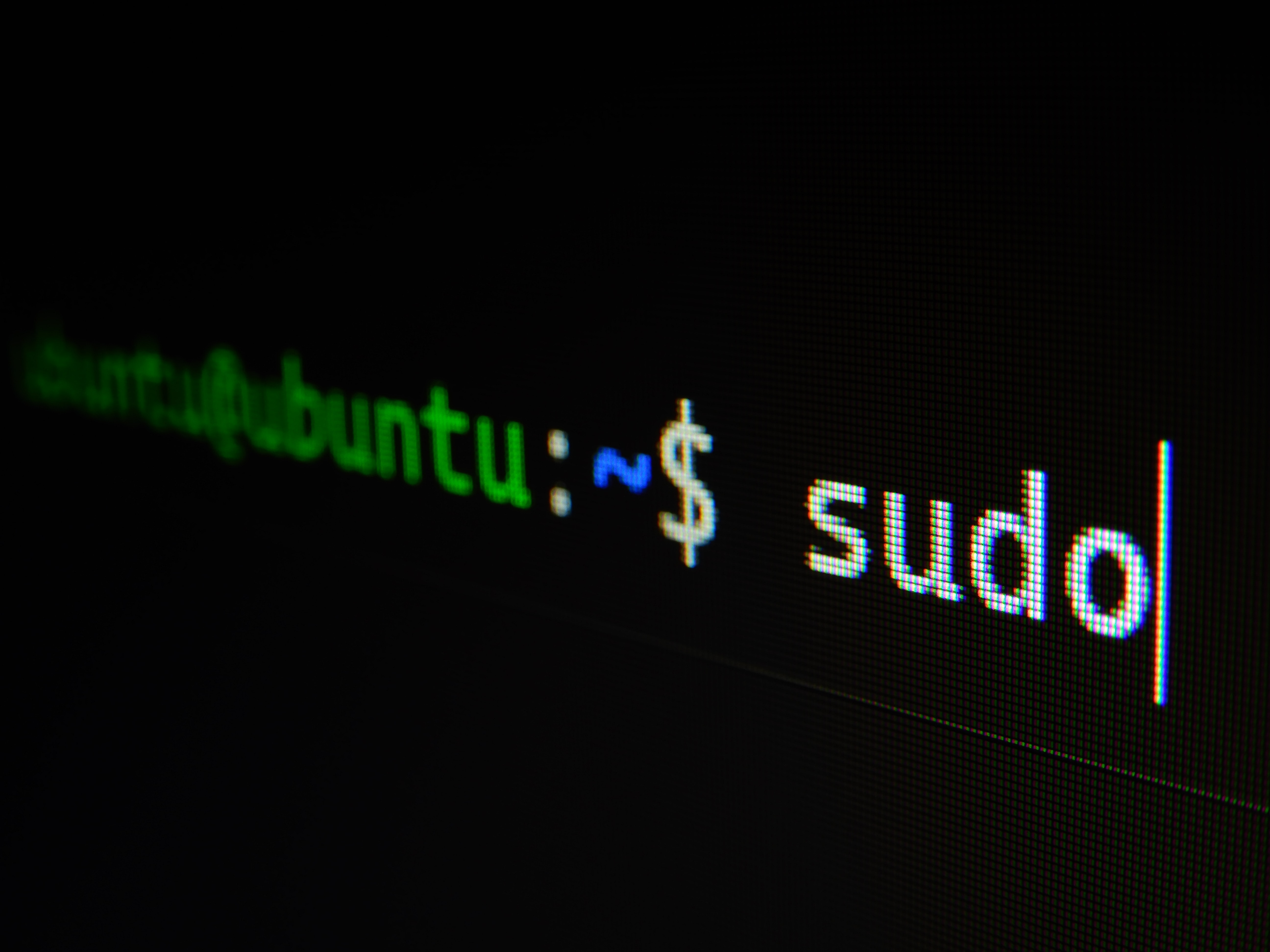 sudo bash